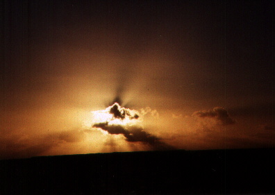 Florida  Everglades , 1999