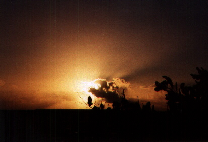 Florida  Everglades , 1999