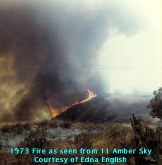 fire 1973